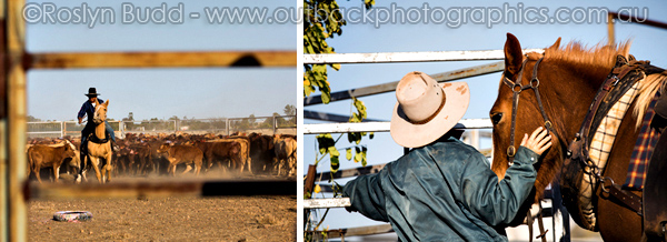 ©Roslyn Budd - www.buddphotography.com.au