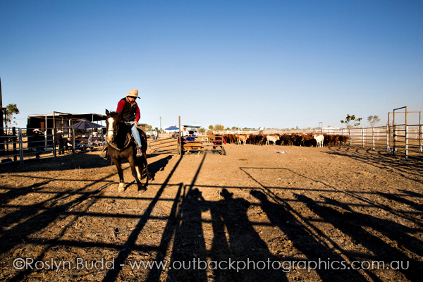 ©Roslyn Budd - www.buddphotography.com.au
