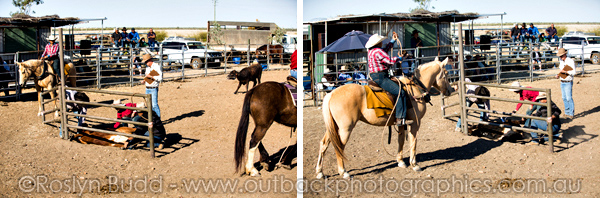 ©Roslyn Budd - www.buddphotography.com.au