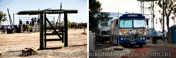 ©Roslyn Budd - www.buddphotography.com.au