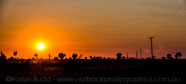 ©Roslyn Budd - www.buddphotography.com.au
