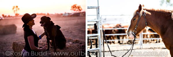 ©Roslyn Budd - www.buddphotography.com.au