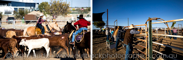 ©Roslyn Budd - www.buddphotography.com.au