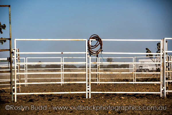 ©Roslyn Budd - www.buddphotography.com.au