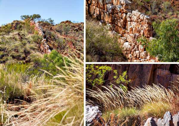 Duncan Road, Old Halls Creek, China Wall, Caroline Pool, Palm Springs, Sawpit Gorge, Western Australia, The Kimberley