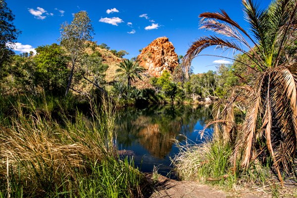 Duncan Road, Old Halls Creek, China Wall, Caroline Pool, Palm Springs, Sawpit Gorge, Western Australia, The Kimberley