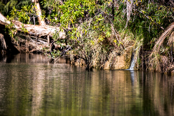 Duncan Road, Old Halls Creek, China Wall, Caroline Pool, Palm Springs, Sawpit Gorge, Western Australia, The Kimberley