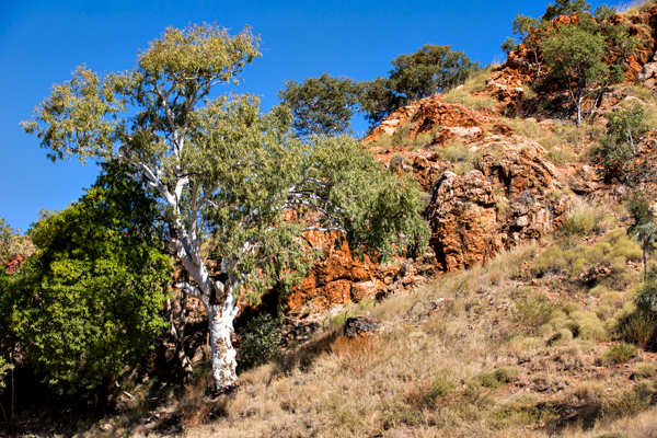 Duncan Road, Old Halls Creek, China Wall, Caroline Pool, Palm Springs, Sawpit Gorge, Western Australia, The Kimberley