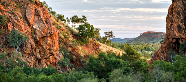 Duncan Road, Old Halls Creek, China Wall, Caroline Pool, Palm Springs, Sawpit Gorge, Western Australia, The Kimberley
