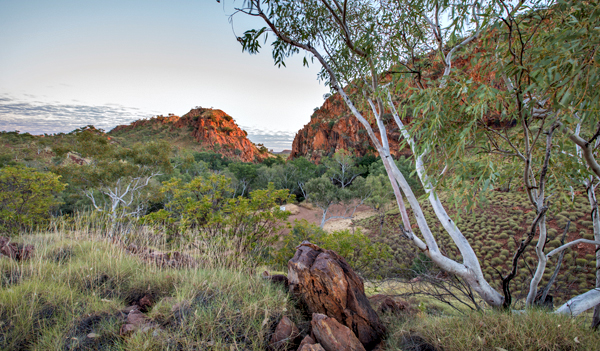 Duncan Road, Old Halls Creek, China Wall, Caroline Pool, Palm Springs, Sawpit Gorge, Western Australia, The Kimberley