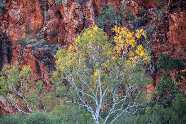 Duncan Road, Old Halls Creek, China Wall, Caroline Pool, Palm Springs, Sawpit Gorge, Western Australia, The Kimberley