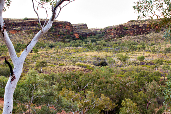 Duncan Road, Old Halls Creek, China Wall, Caroline Pool, Palm Springs, Sawpit Gorge, Western Australia, The Kimberley