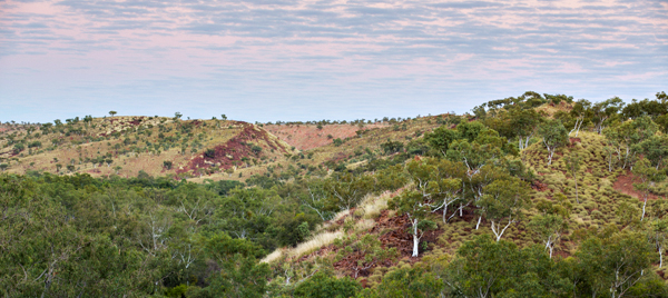 Duncan Road, Old Halls Creek, China Wall, Caroline Pool, Palm Springs, Sawpit Gorge, Western Australia, The Kimberley