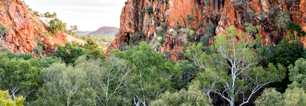 Duncan Road, Old Halls Creek, China Wall, Caroline Pool, Palm Springs, Sawpit Gorge, Western Australia, The Kimberley