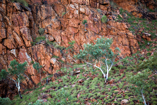 Duncan Road, Old Halls Creek, China Wall, Caroline Pool, Palm Springs, Sawpit Gorge, Western Australia, The Kimberley