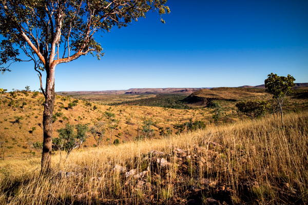El Questro, The Kimberley, Kimberley, Gibb River Rd, Cockburn Range