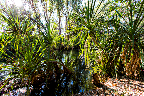 El Questro, The Kimberley, Kimberley, Gibb River Rd, Cockburn Range