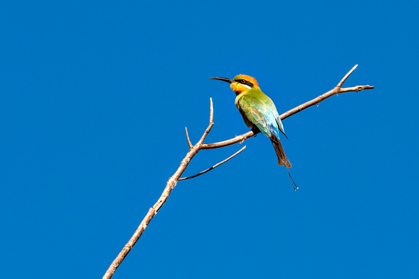 El Questro, The Kimberley, Kimberley, Gibb River Rd, Cockburn Range