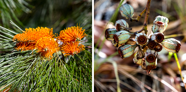 El Questro, The Kimberley, Kimberley, Gibb River Rd, Cockburn Range