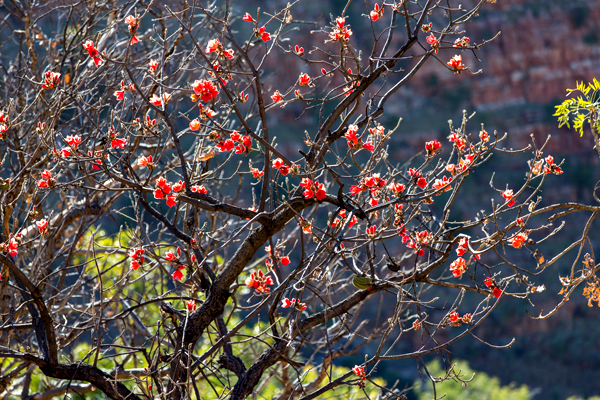 El Questro, The Kimberley, Kimberley, Gibb River Rd, Cockburn Range