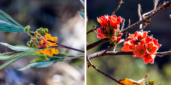 El Questro, The Kimberley, Kimberley, Gibb River Rd, Cockburn Range