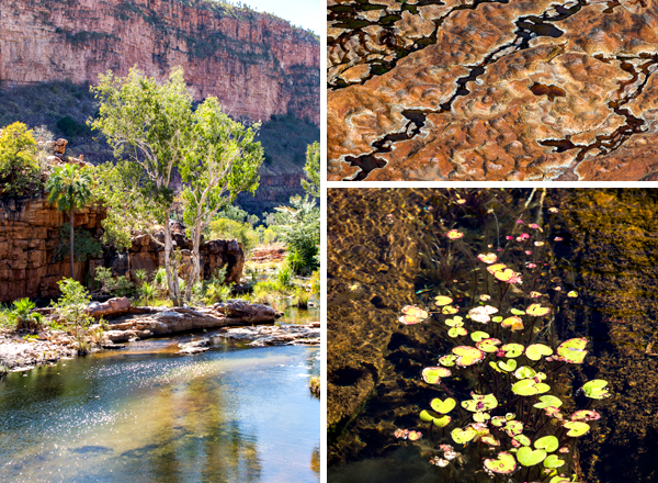 El Questro, The Kimberley, Kimberley, Gibb River Rd, Cockburn Range