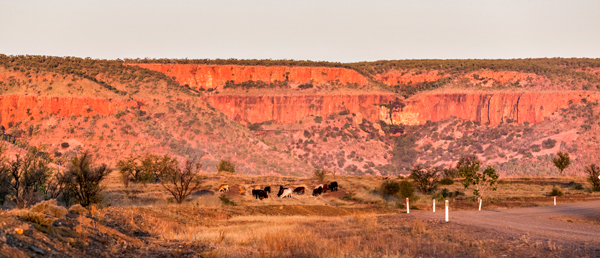 El Questro, The Kimberley, Kimberley, Gibb River Rd, Cockburn Range