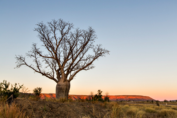 El Questro, The Kimberley, Kimberley, Gibb River Rd, Cockburn Range