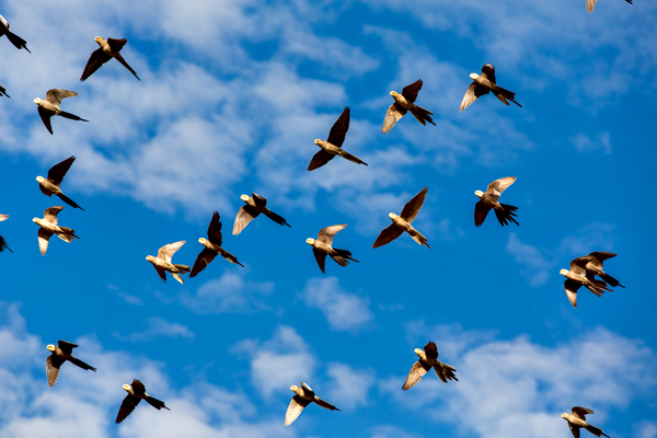 Great Northern Highway, Western Australia, The Kimberley, Ellendale Lake