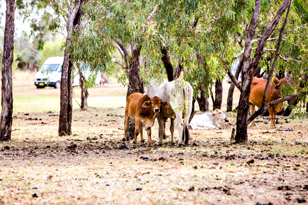 Great Northern Highway, Western Australia, The Kimberley, Ellendale Lake