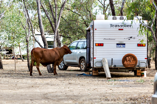 Great Northern Highway, Western Australia, The Kimberley, Ellendale Lake