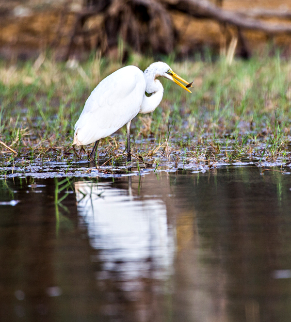 Great Northern Highway, Western Australia, The Kimberley, Ellendale Lake