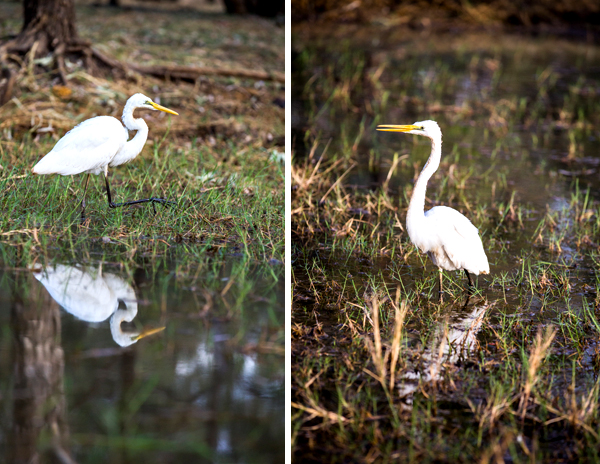 Great Northern Highway, Western Australia, The Kimberley, Ellendale Lake