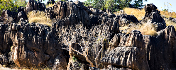Great Northern Highway, GNH, The Kimberley, Western Australia, Ngumban Clff, Ngumban, Budd Photography