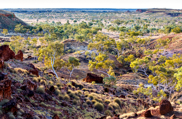 Great Northern Highway, GNH, The Kimberley, Western Australia, Ngumban Clff, Ngumban, Budd Photography