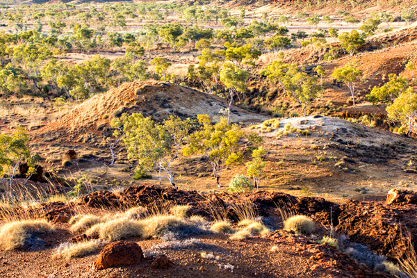 Great Northern Highway, GNH, The Kimberley, Western Australia, Ngumban Clff, Ngumban, Budd Photography
