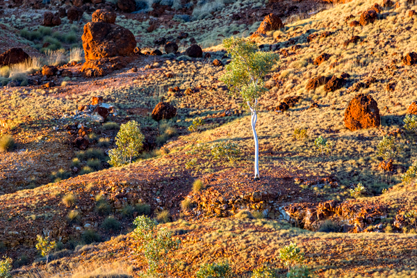 Great Northern Highway, GNH, The Kimberley, Western Australia, Ngumban Clff, Ngumban, Budd Photography