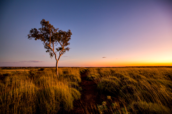 Great Northern Highway, GNH, The Kimberley, Western Australia, Ngumban Clff, Ngumban, Budd Photography