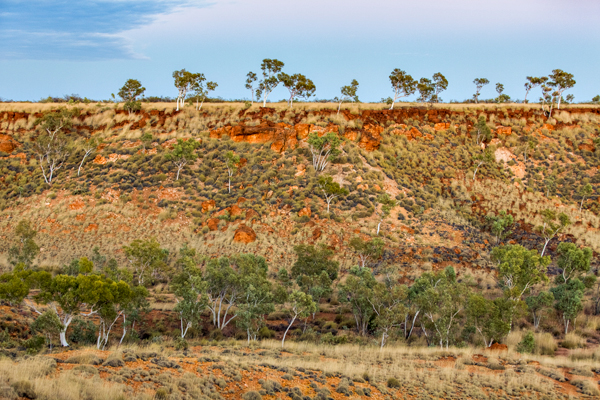 Great Northern Highway, GNH, The Kimberley, Western Australia, Ngumban Clff, Ngumban, Budd Photography