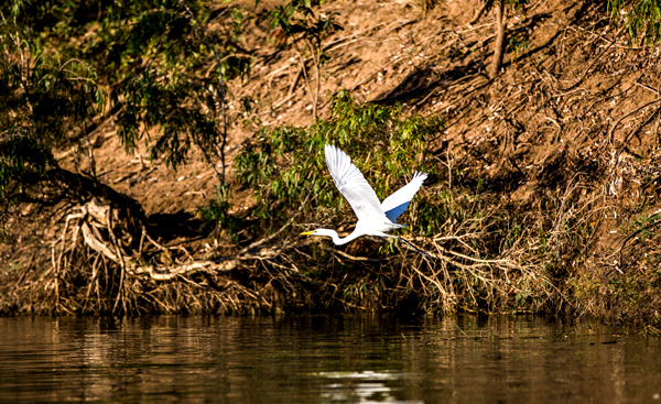 Geikie Gorge, Kimberley, Western Australia