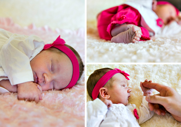 ©Roslyn Budd - www.buddphotography.com.au