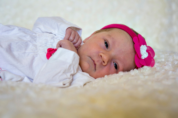 ©Roslyn Budd - www.buddphotography.com.au