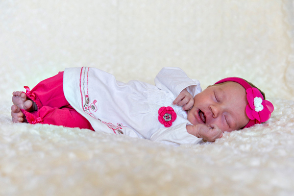 ©Roslyn Budd - www.buddphotography.com.au