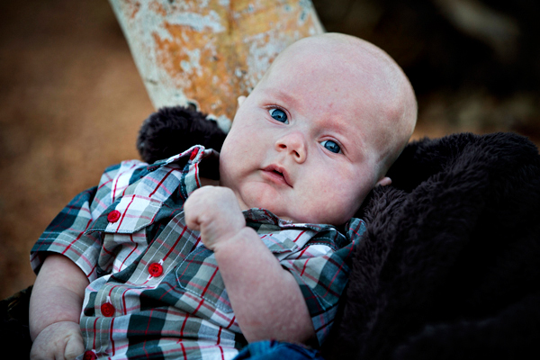 ©Roslyn Budd - www.buddphotography.com.au