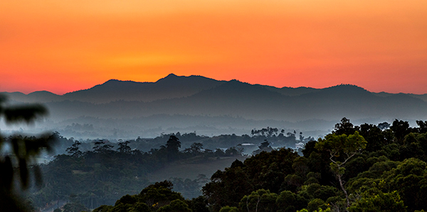 ©Roslyn Budd - www.buddphotography.com.au