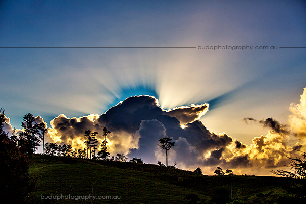©Roslyn Budd - www.buddphotography.com.au