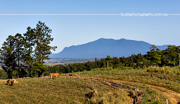 ©Roslyn Budd - www.buddphotography.com.au