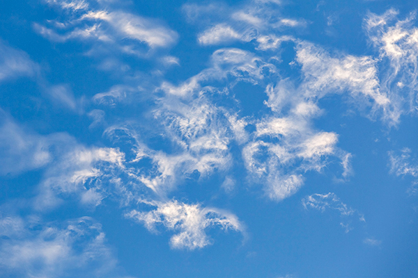 ©Roslyn Budd - www.buddphotography.com.au