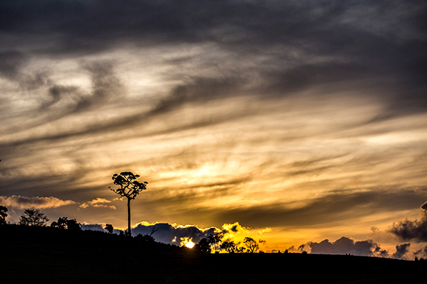 ©Roslyn Budd - www.buddphotography.com.au