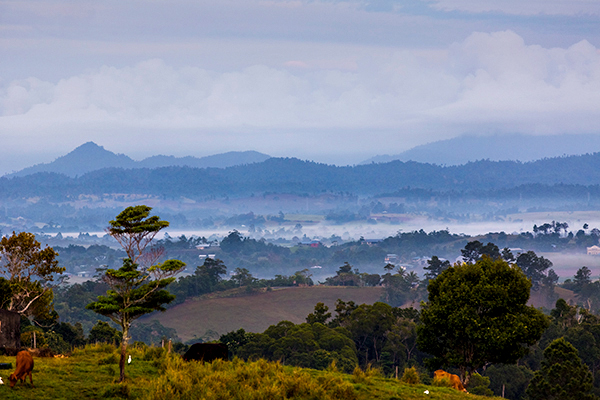 ©Roslyn Budd - www.buddphotography.com.au